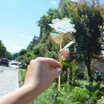 Galaxy Rose Flower