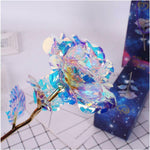 Galaxy Rose Flower